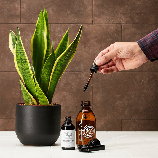 plant food droppas i sprayflaska