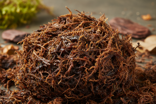 Torvfri jord - bra för framtiden. Förstå fördelar och nackdelar med torv.