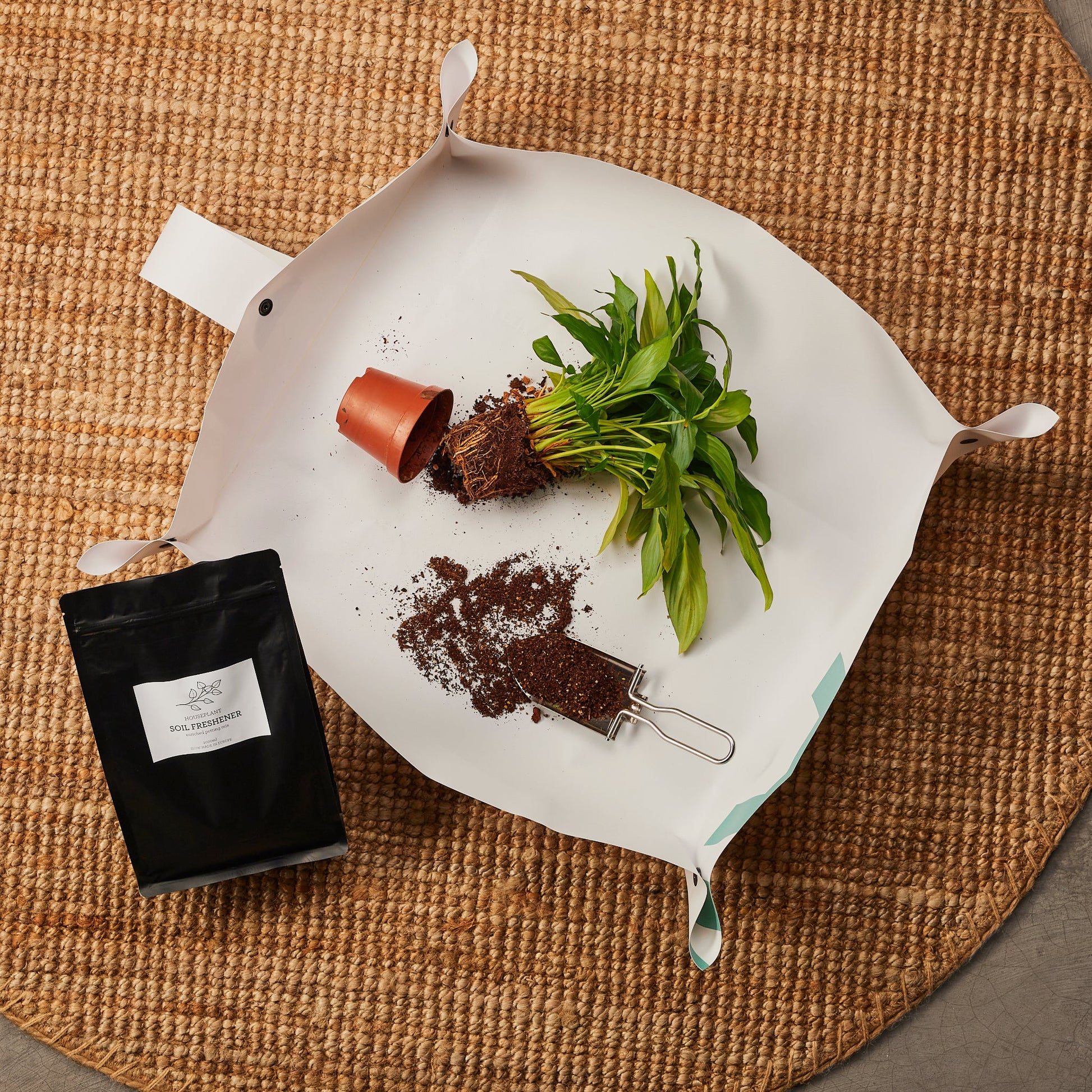 Generosa Soil Freshener Potting Soil - Organic, Nutrient-Rich Soil for Thriving Plants 2000ml-4