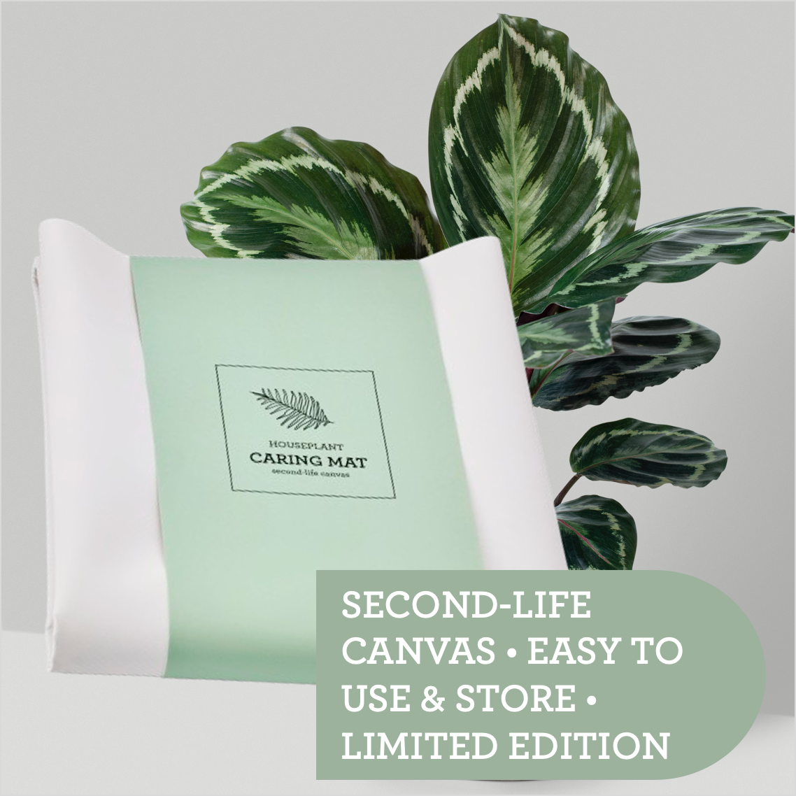 Startpaket för friska växter. Växtnäring PLANT FOOD, rengöring LEAF CLEANSER, Skötsel-underlägg 60x70cm