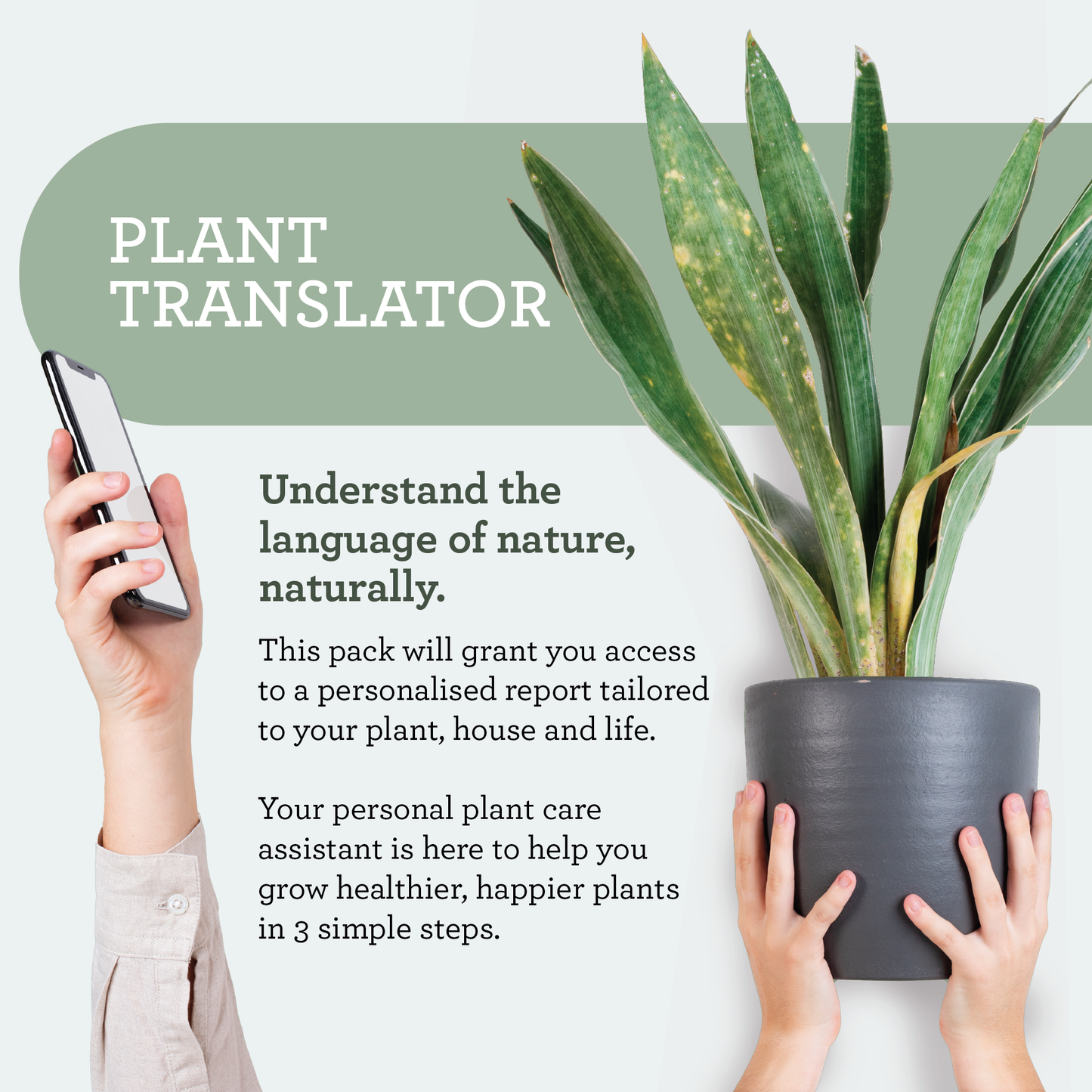 Plant Spa- LEAF CLEANSER och LEAF PROTECTOR.  Växtskydd och rengöring som bekämpar skadedjur effektivt.