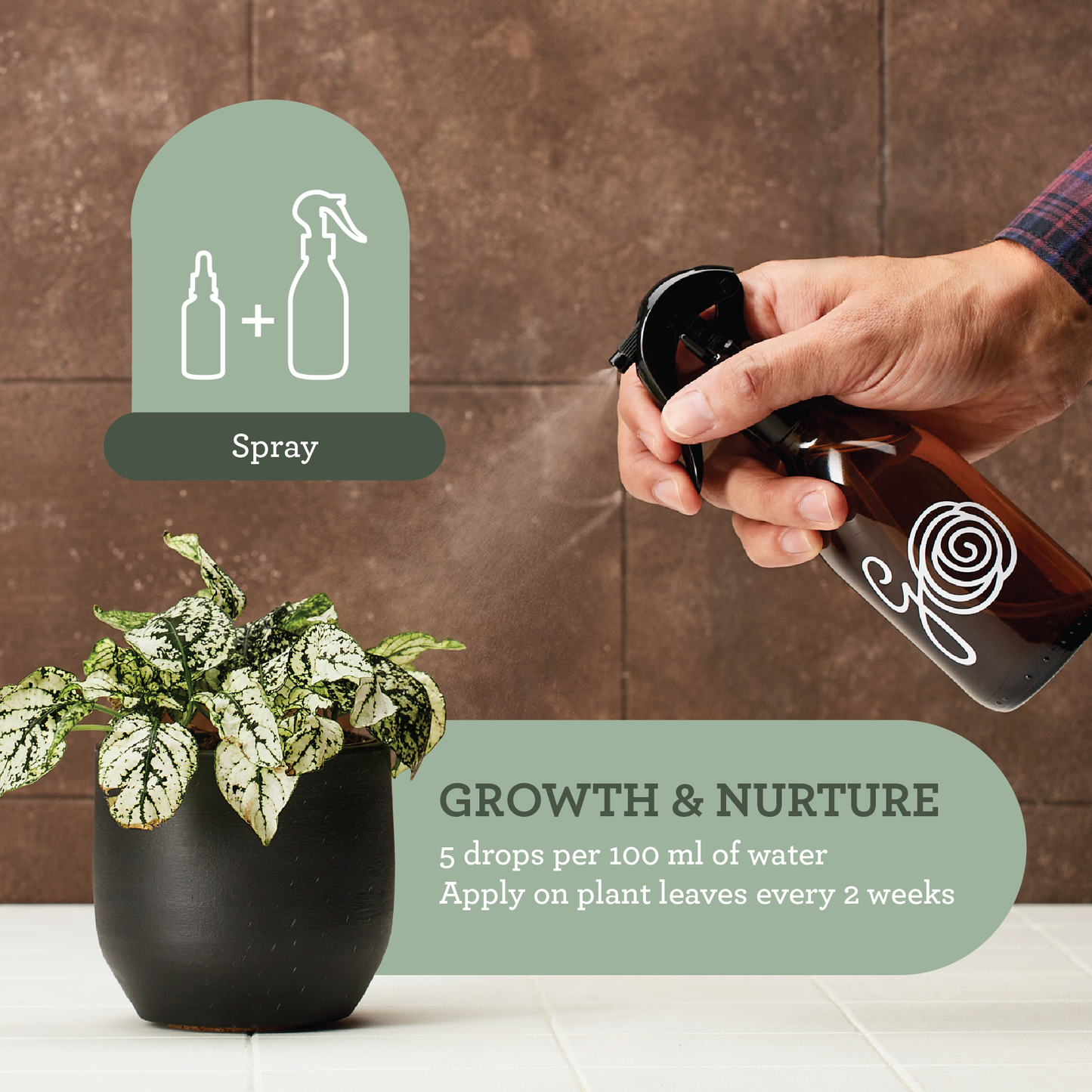 PLANT FOOD 100% havsalg-extrakt. Näring för inomhus-växter. 50 ml glasflaska med pipett.