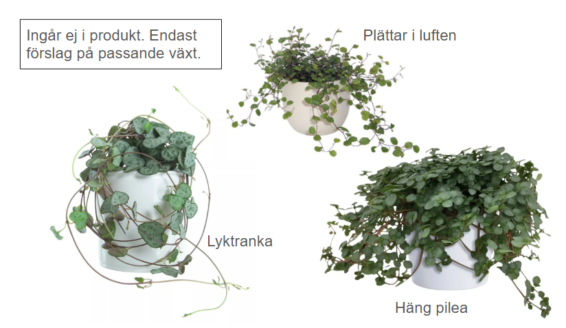 Krukor i trendig ansiktsform 2 delar från Home ESPRIT.